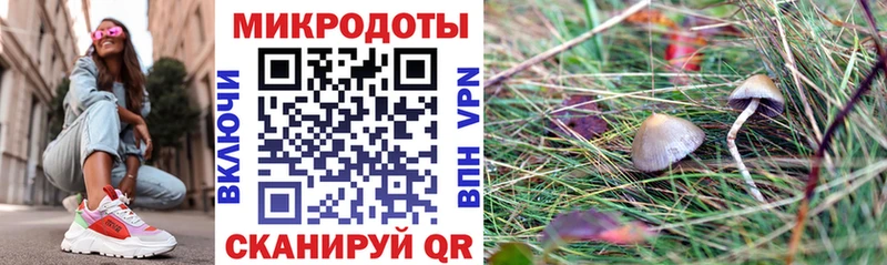 цены   Куйбышев  Галлюциногенные грибы мухоморы 